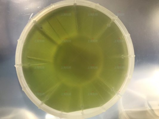 購入 4inch 6Inch 4H-N 500mm 350um SICのウエファーの炭化ケイ素sicの基質の主な模造の等級 オンライン製造